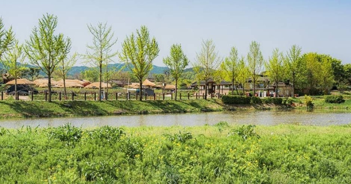 Traditional tiled roofs and wooded hills at Andong Hahoe Village