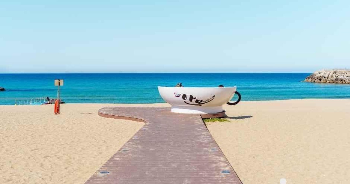 Coffee-cup sculpture facing the blue East Sea at Anmok Beach in Gangneung